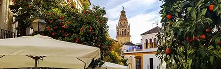 Cattedrale di Siviglia