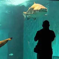 posti da visitare a Siviglia posti da visitare a Siviglia